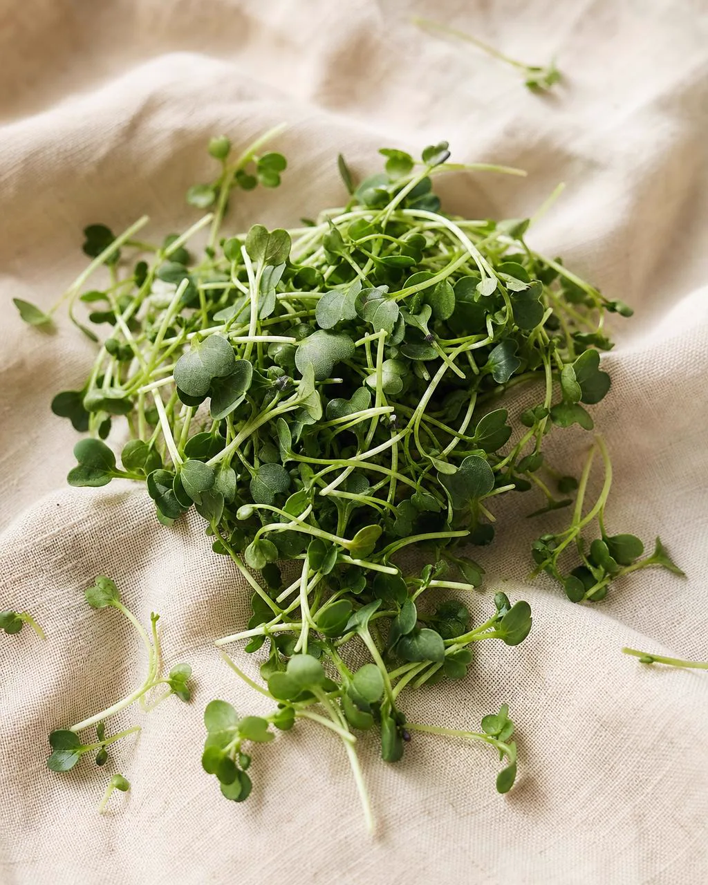 Broccoli microgreens